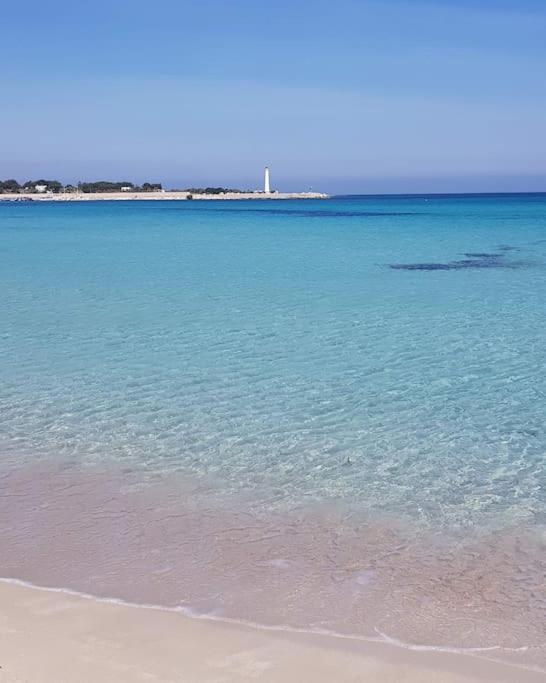 Appartamento Fiore Di Zagara 100Mt Dal Mare San Vito Lo Capo Eksteriør billede